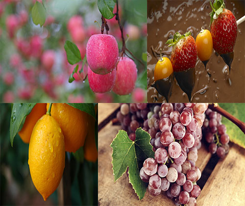 مجموعه عکس های جدید و فوق العاده زیبا از خوراکی ها و میوه ها
