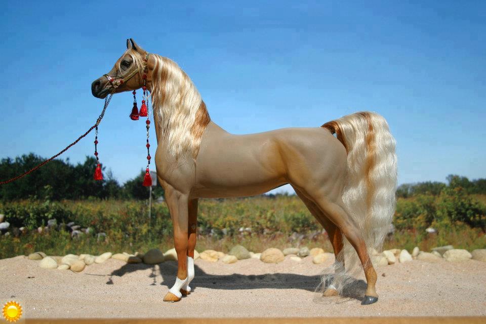عکس اسب زیبا و رویایی