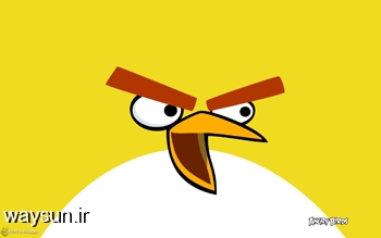 عکس های بازی Angery Birds