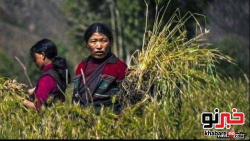ازدواج و زندگی همزمان و عجیب این زن نپالی با دو برادر 