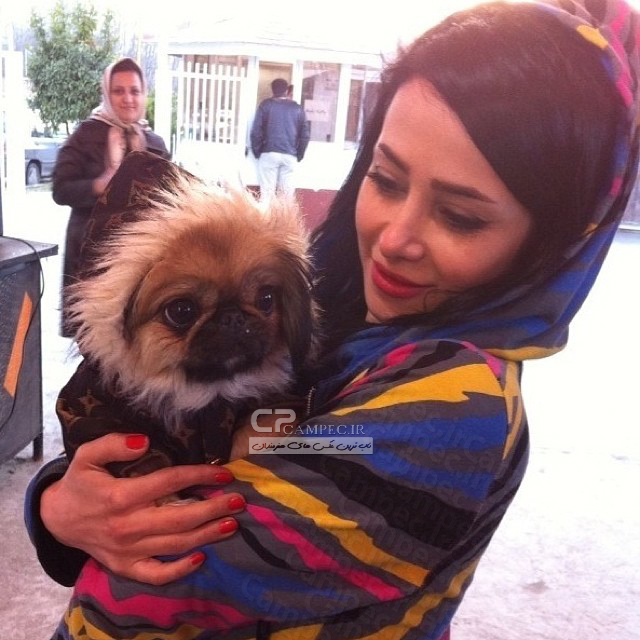 عکسی دیدنی از الناز حبیبی و سگش
