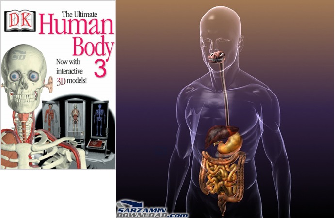 نرم افزار اطلس جامع بدن انسان - The Ultimate Human Body 3
