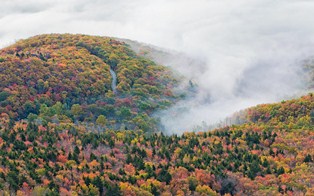 986-nature_mountain_forest_landscape_fog_ultrahd_4k_free881752.jpg (314×196)