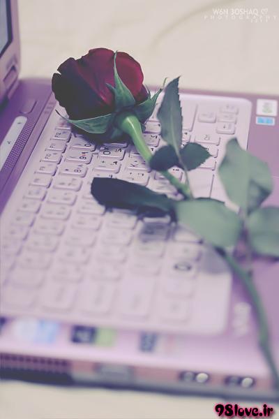 گل روی لپ تاپ