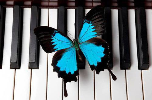 دانلود پیانوی آرام بخش و عاشقانه به نام ” روزی از زندگی “