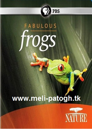 دانلود مستند قورباغه های شگفت‌ انگیز Nature: Fabulous Frogs 2014