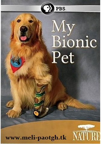 دانلود مستند Nature: My Bionic Pet 2014
