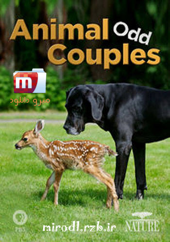  دانلود مستند جفت های عجیب حیوانات Animal Odd Couples 