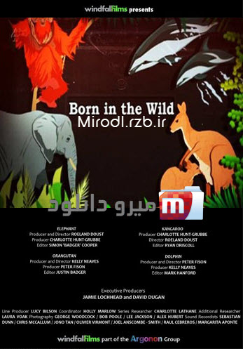  دانلود مستند زاده ی حیات وحش Born in the Wild 2014 