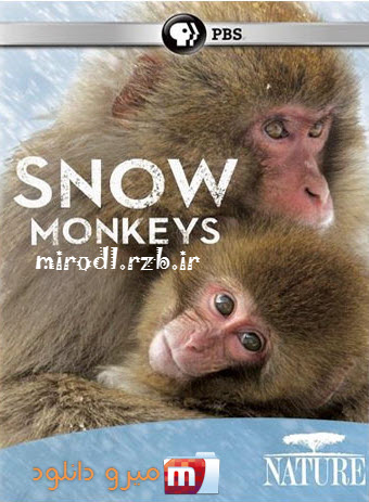 دانلود مستند میمون های برفی Nature: Snow Monkeys 2014