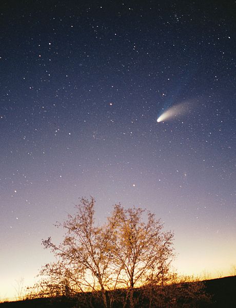 ستاره ی دنباله دار چیست؟
