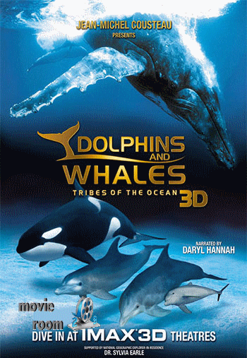 دانلودمستند دلفین ها و وال ها قبایل اقیانوس Dolphins and Whales Tribes of the Ocean 2008