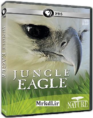 دانلود مستند عقاب جنگل PBS Jungle Eagle 2011