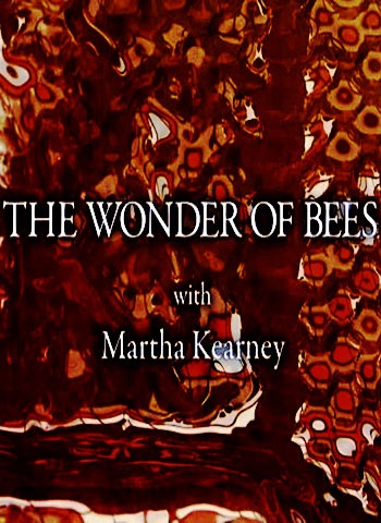 https://rozup.ir/up/narsis3/Pictures/The-Wonder-of-Bees-cover.jpg