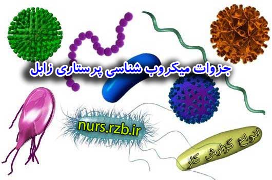 جزوات میکروب شناسی پرستاری زابل