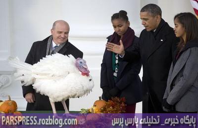 اوباما از خون ۲ بوقلمون گذشت!+عکس