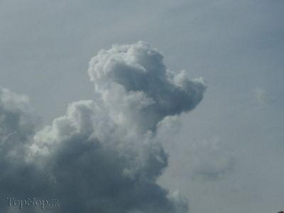 ابر های با اشکال آشنا:گالری تصاویر,ابر های با اشکال آشنا,ابر های جالب,عکس ابر های جالب و دیدنی,ابر های جالب