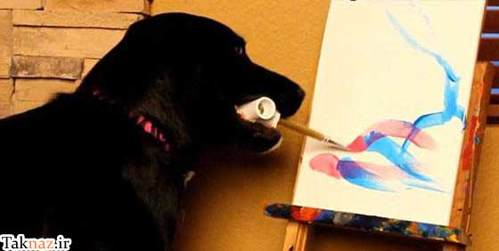 تصاویری از نقاشی های خارق العاده یک سگ,نقاشی سگ,سگ نقاش,نقاشی حیوانات,نقاشی,طراحی توسط حیوانات,سگ طراح