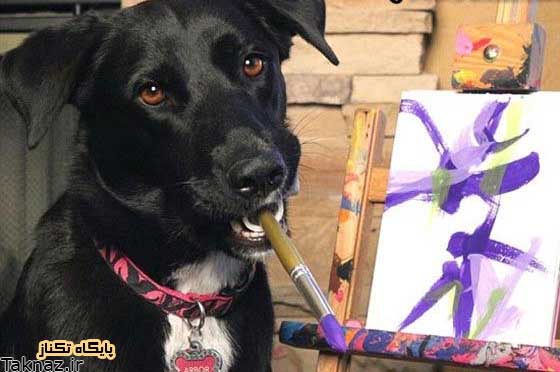 تصاویری از نقاشی های خارق العاده یک سگ,نقاشی سگ,سگ نقاش,نقاشی حیوانات,نقاشی,طراحی توسط حیوانات,سگ طراح