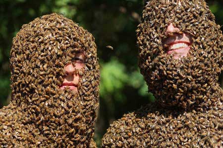 مردی  با هزاران زنبور روی صورتش+عکس,مردی  با هزاران زنبور روی صورتش,مسابقات زنبور داری,زنبور روی بدن انسان