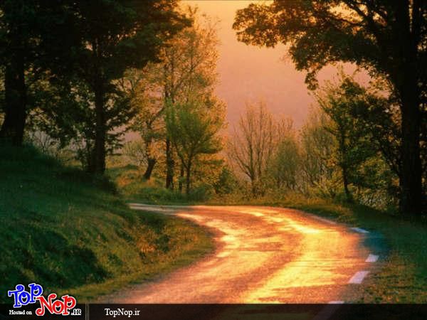 تصاویری از زیباترین جاده های جهان,زیباترین جاده های در دل طبیعت,زیباترین جاده ها,جاده عاشقانه,زیباترین جاده های در طبیعت,جاده های احساسی,جاده های زیبا در دل طبیعت