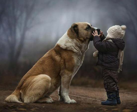روابط دوستی بین انسان و حیوانات
