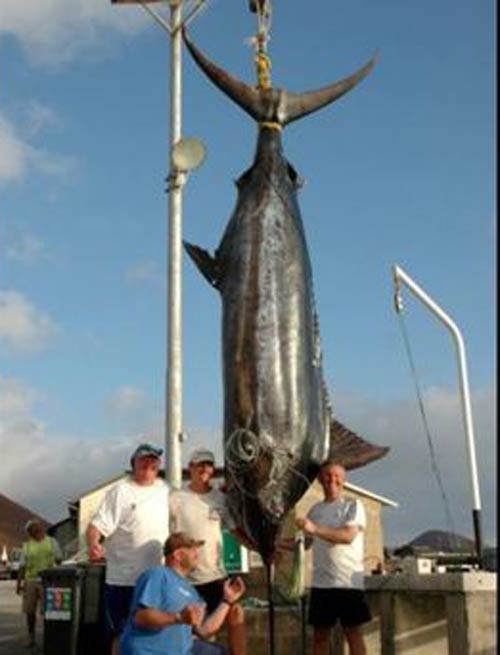 رکورداران صید ماهی های بزرگ