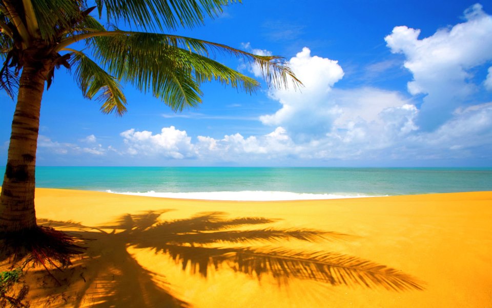 ساحل آفتابی