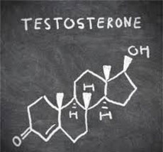 حقایقی در مورد تستوسترون ،هورمون جنسی مردان
