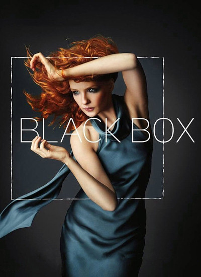 سریال Black Box 