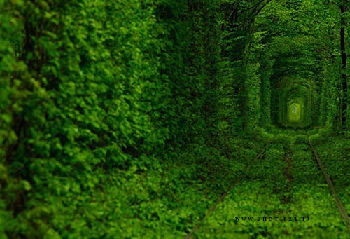 آشیانه‌ی پرستو، قلعه ای باشکوه که روی صخره‌ای مشرف به دریا ساخته شده است-سایت عکاسی