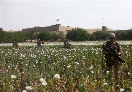 چشم پوشی ناتو بر تولید مواد مخدر در افغانستان