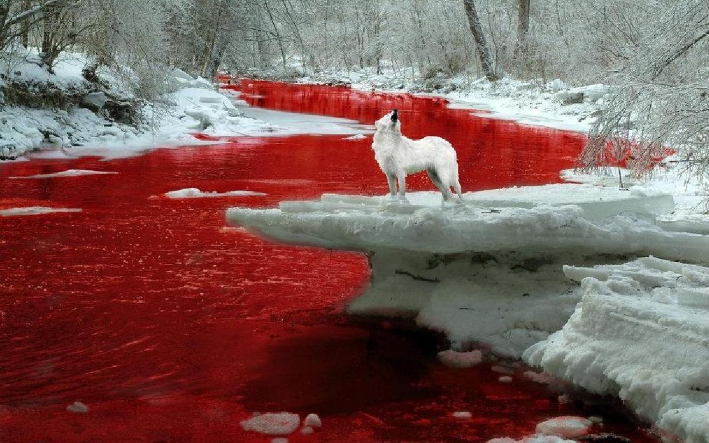 رودخانه خون آلود