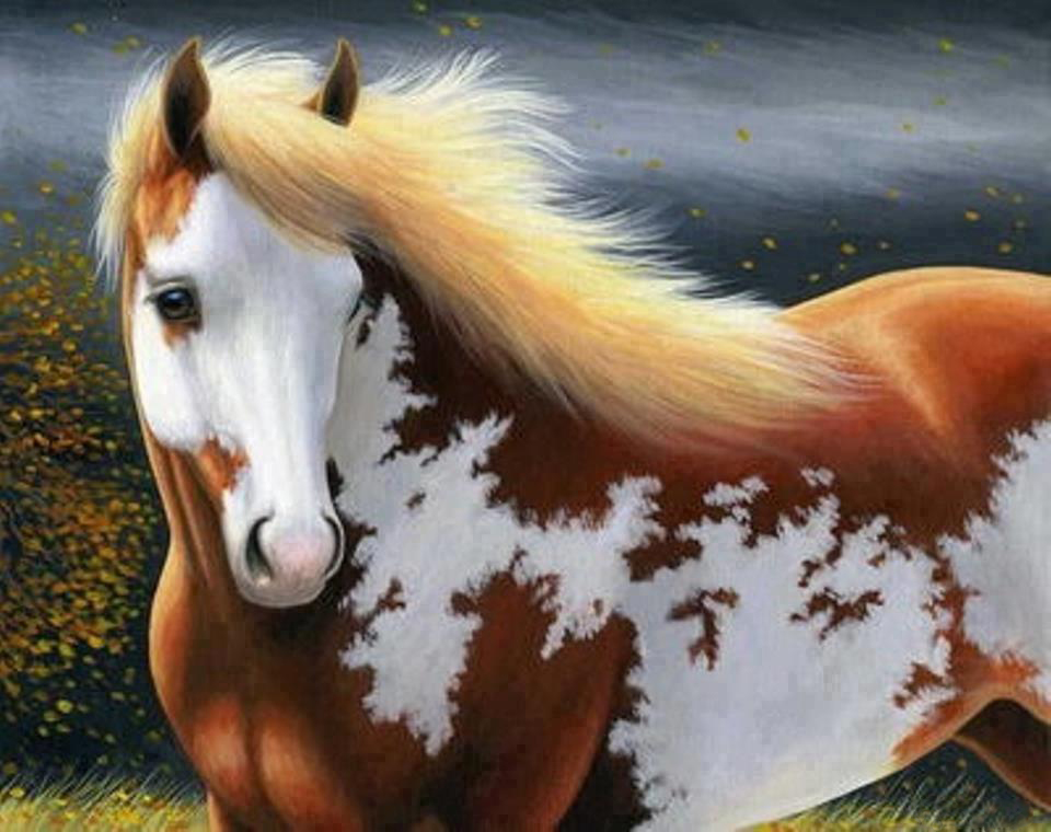 نقاشی یک اسب زیبا