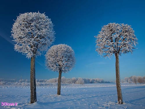عکسهای زیبای فصل زمستان 2015