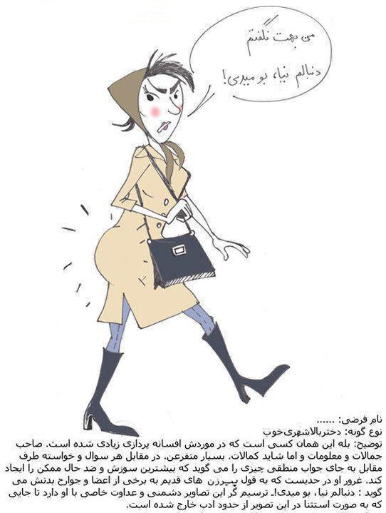 کاريکاتورهاي انواع زن ايراني 