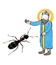 داستان حضرت سليمان و مورچه 