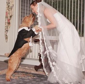 ازدواج زن امریکایی با سگش