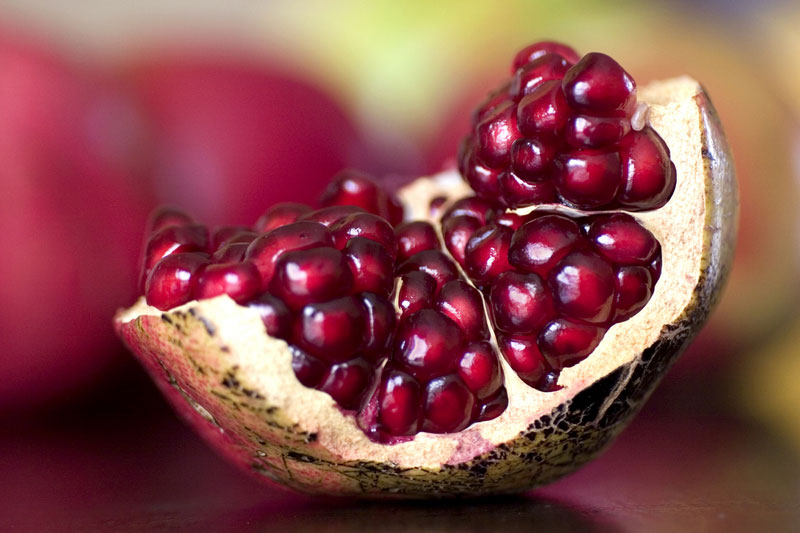 مصرف میوه انار در پیشگیری از چین و چروک پوست مفید است