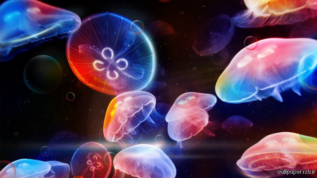 پس زمینه عروس دریایی|Underwater Jellyfishes 