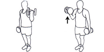 3 تمرین برای تقویت عضلات بازو و سینه به کمک دمبل (+تصاویر) 