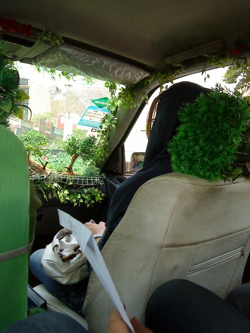 تاکسی جنگلی جالب در تهران!!!+ عکس