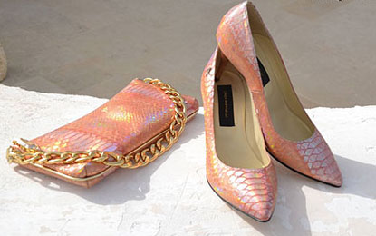 مدل ست کیف و کفش مجلسی زنانه