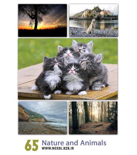 دانلود مجموعه ۶۵ والپیپر طبیعت و حیوانات - Nature and Animals HD