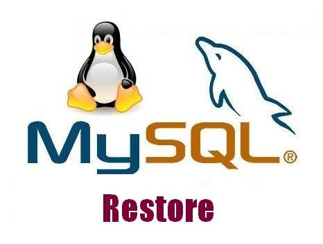 آموزش ریستور کردن فایل های حجیم MySQL در ssh
