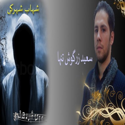 آهنگ جدید سعید زرگوش تنها و شهاب شهرکی به نام شب بارانی