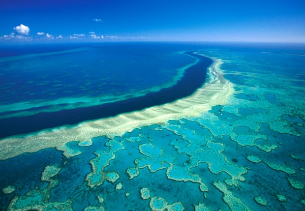 دنیای آبی صخره های مرجانی کوئینزلند استرالیا