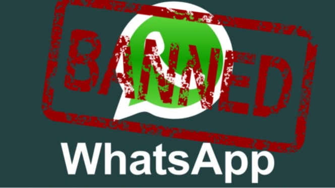 WhatsApp با ممنوعیت دائمی کاربران مزاحم را تهدید می‌کند