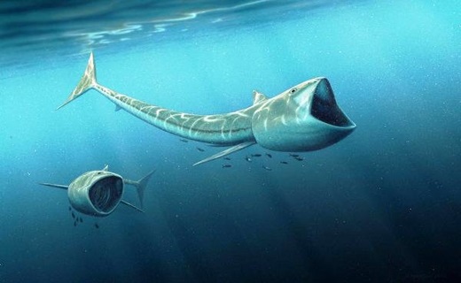 ماهی‌ عجیب با ۹۲ میلیون سال قدمت ! + عکس