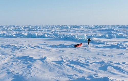 10 حقیقت جالب و افسانه ای درباره قطب شمال